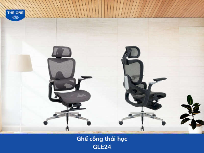 ghe-cong-thai-hoc-gia-re-24-ghe-cong-thai-hoc-gle24-co-eo-tua-dieu-chinh-linh-hoat-24