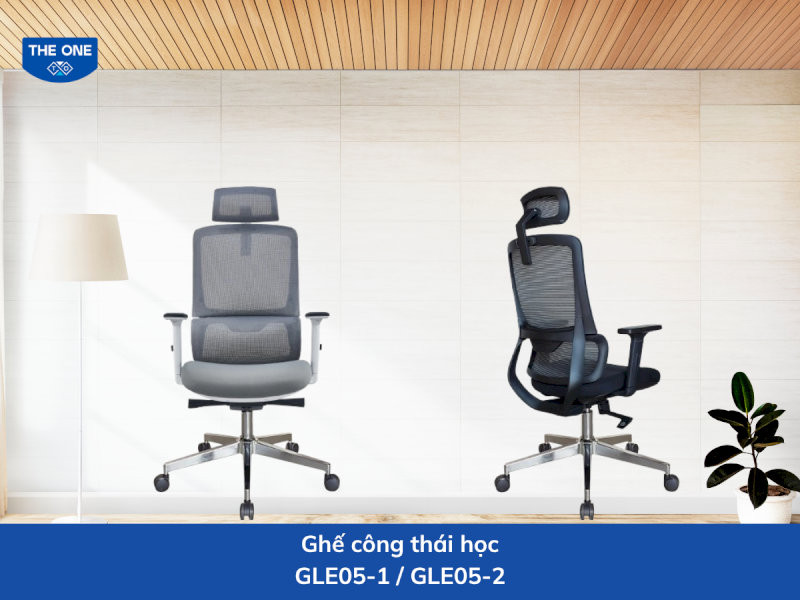 ghe-cong-thai-hoc-gia-re-5-ghe-cong-thai-hoc-gle05-1-gle05-2-co-tua-dau-thay-doi-duoc-do-cao-05