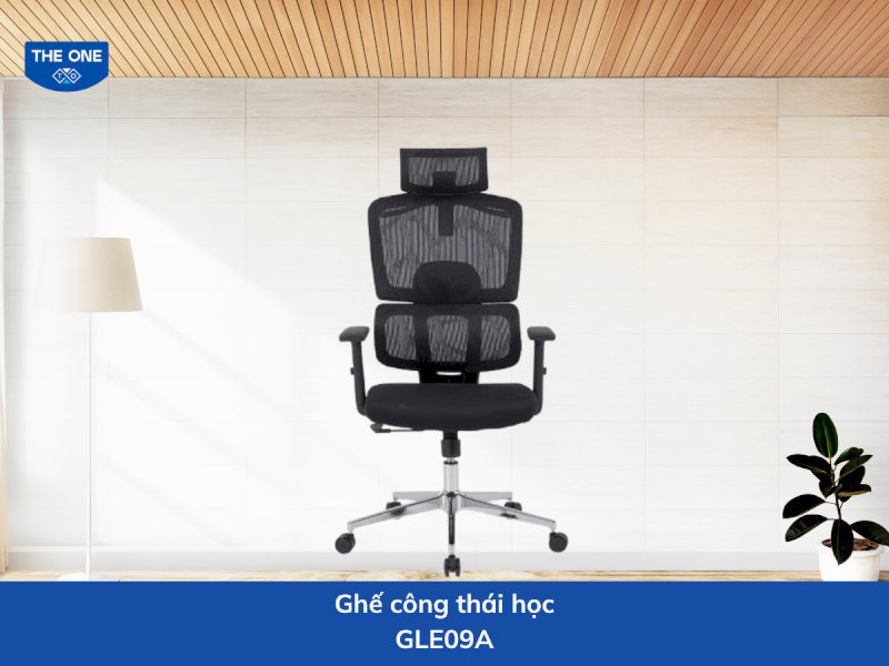 ghe-cong-thai-hoc-gia-re-9-ghe-cong-thai-hoc-gle09a-phu-hop-voi-nhieu-voc-dang-09