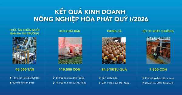 Nông nghiệp Hòa Phát xuất bán hơn 110.000 con heo và 86.000 tấn thức ăn chăn nuôi trong quý I/2026