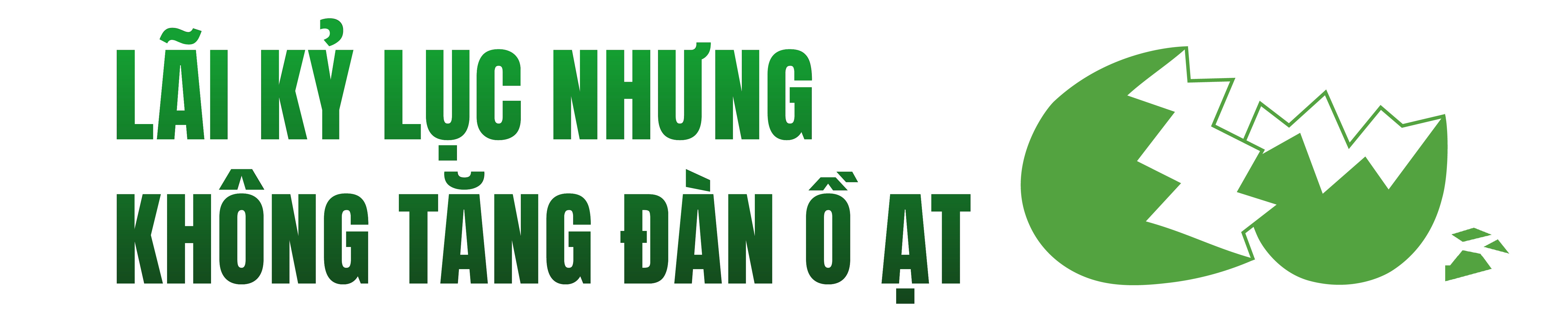 hpa-hongvan-article-10