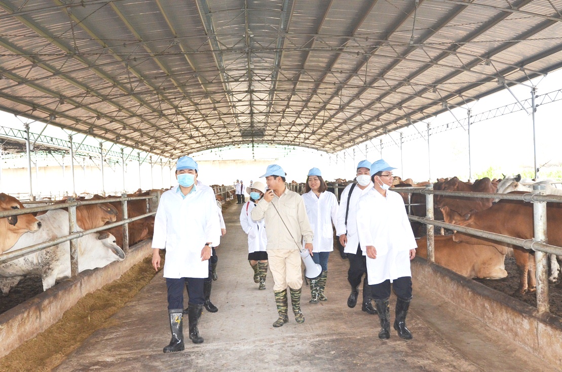 ????????????????????????????????????