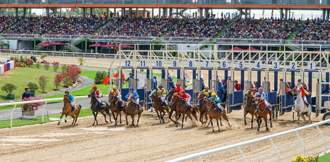 Truong dua ngua dai nam